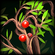 Talent_Exploration_ForestMaster.png